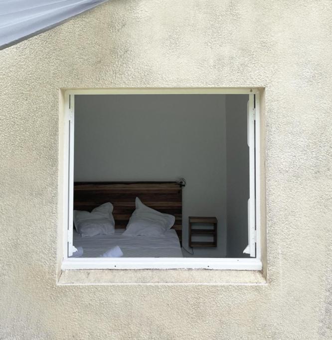 Spacieux Appartement A La Villa Montagne Le Carbet Eksteriør billede